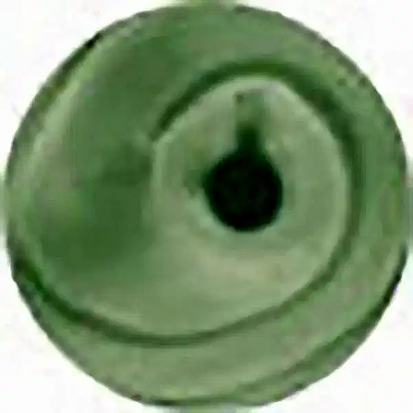 Potterycrafts Beryl Green Leaded Powder On-Glaze