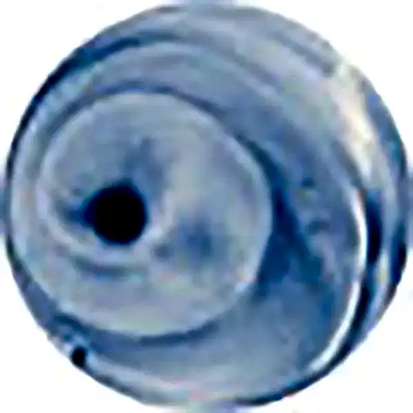 Potterycrafts Kingfisher Blue Leaded Powder On-Glaze