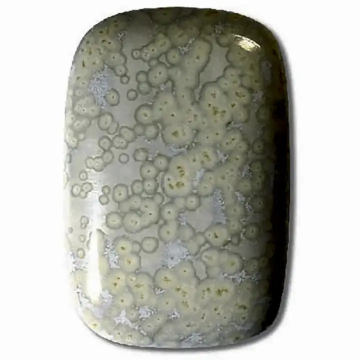 Terracolor Elderflower Stoneware Brush-on Glaze